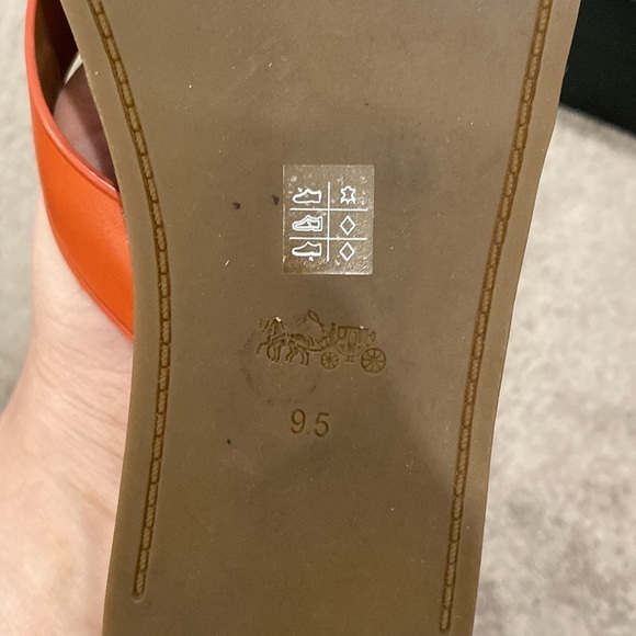 Coach leather flip sandals look lightly worn in my kitchen - Picture 5 of 5